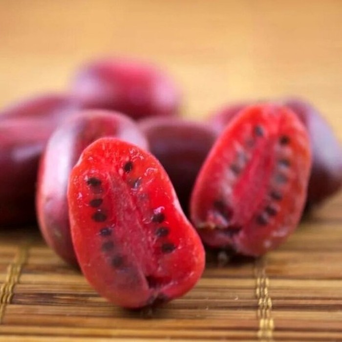 Кенс Ред P9 актинидия (ж)